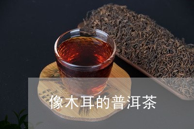 像木耳的普洱茶/2023102692704