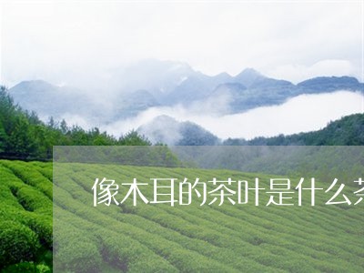 像木耳的茶叶是什么茶/2023092227592