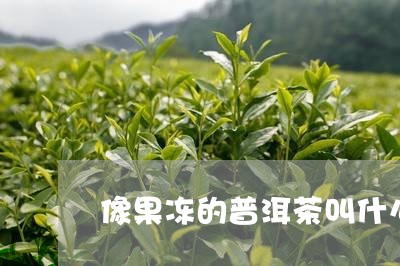 像果冻的普洱茶叫什么名字/2023121342616