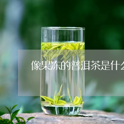 像果冻的普洱茶是什么品种/2023121358491