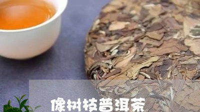 像树枝普洱茶/2023042852406