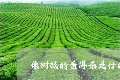 像树枝的普洱茶是什么牌子/2023110563915