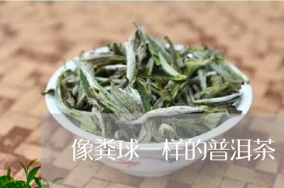 像粪球一样的普洱茶/2023101699270