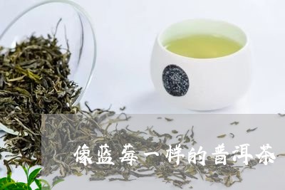 像蓝莓一样的普洱茶/2023042929481