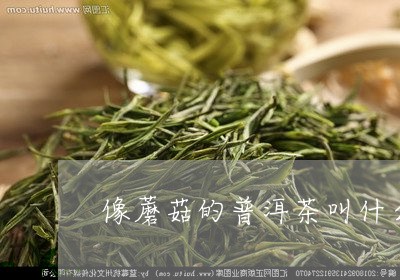 像蘑菇的普洱茶叫什么名子/2023121359382