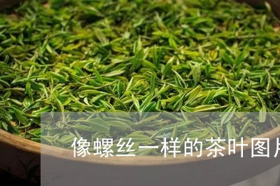 像螺丝一样的茶叶图片/2023092339593