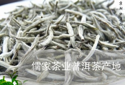 儒家茶业普洱茶产地/2023110974825