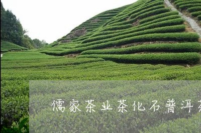 儒家茶业茶化石普洱茶/2023062818469