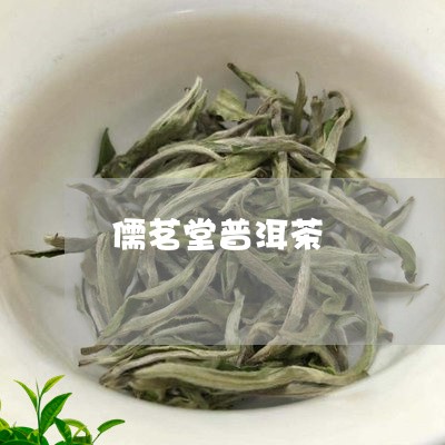 儒茗堂普洱茶/2023042529413