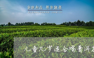 儿童几岁适合喝普洱茶/2023100770504