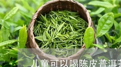 儿童可以喝陈皮普洱茶/2023080186158