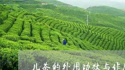 儿茶的外用功效与作用/2023071573927