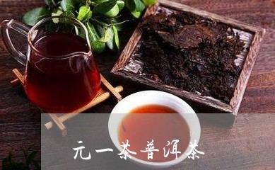 元一茶普洱茶/2023042882527