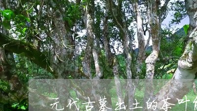 元代古墓出土的茶叶能喝吗/2023051282615