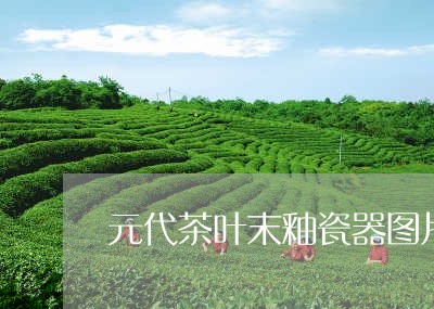 元代茶叶末釉瓷器图片/2023061183826