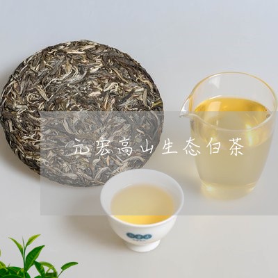 元宏高山生态白茶/2023121799462