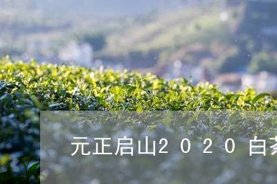 元正启山2020白茶/2023092778391