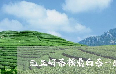 元正好茶福鼎白茶一罐/2023120708282