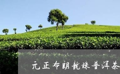 元正布朗龙珠普洱茶/2023120590581