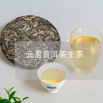 元盈普洱茶生茶/2023102630593