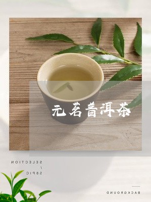 元茗普洱茶/2023102547491