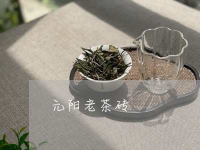 元阳老茶砖/2023090239504