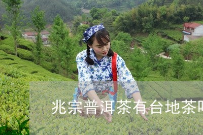 兆宗普洱茶有台地茶吗/2023112407079