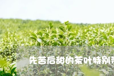 先苦后甜的茶叶特别贵/2023092380617