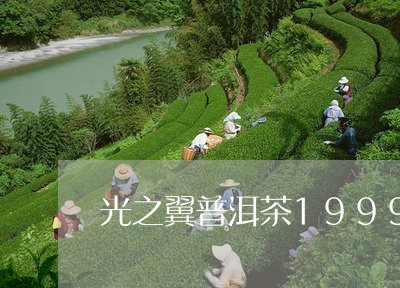 光之翼普洱茶1999/2023062926271