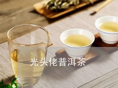 光头佬普洱茶/2023042668658