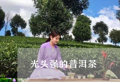 光头强的普洱茶/2023112526057