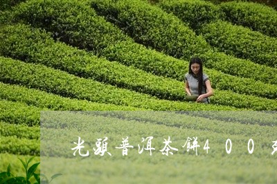 光头普洱茶饼400克/2023100588280