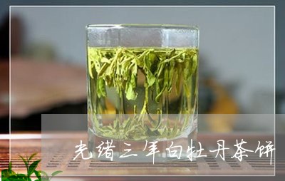 光绪三年白牡丹茶饼/2023120589694