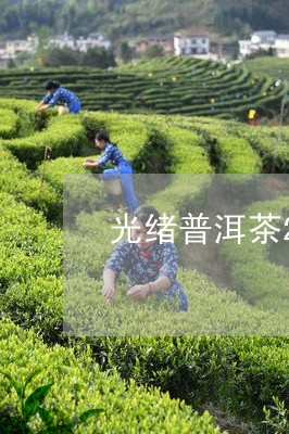 光绪普洱茶25年价格/2023100622624