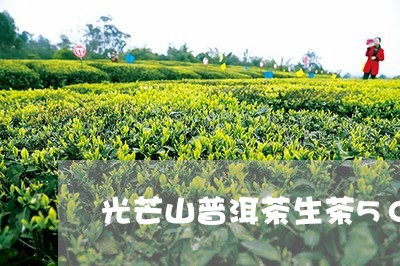 光芒山普洱茶生茶500g/2023110275047