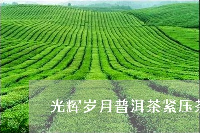 光辉岁月普洱茶紧压茶/2023080376839