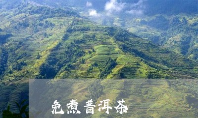 免煮普洱茶/2023102515038