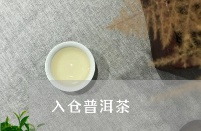 入仓普洱茶/2023090615050