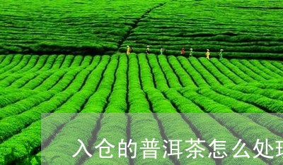 入仓的普洱茶怎么处理/2023080126259