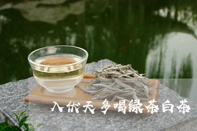 入伏天多喝绿茶白茶/2023081271803