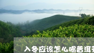 入冬应该怎么喝普洱茶/2023080224150