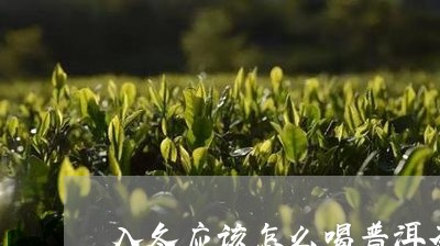 入冬应该怎么喝普洱茶/2023100716969