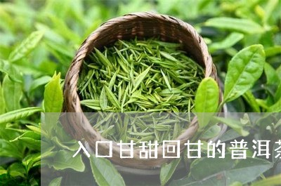 入口甘甜回甘的普洱茶有哪些/2023082833634