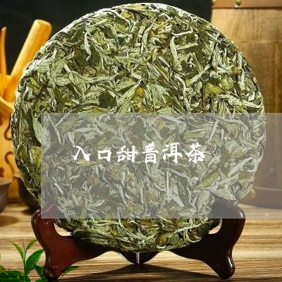 入口甜普洱茶/2023042747588