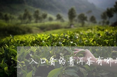 入口香的普洱茶有哪些/2023101738572