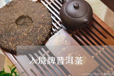 入境牌普洱茶/2023042796935