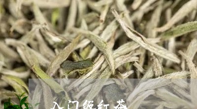 入门级红茶/2023121951503