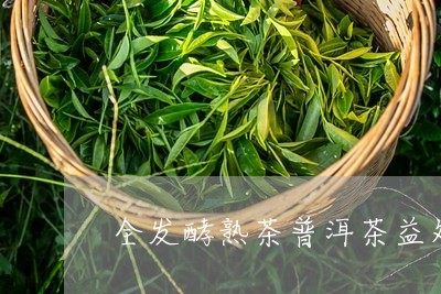 全发酵熟茶普洱茶益处/2023100704825