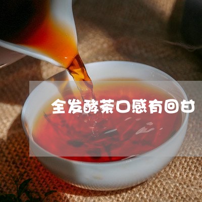 全发酵茶口感有回甘/2023042035148