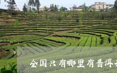 全国只有哪里有普洱茶产地/2023112566158